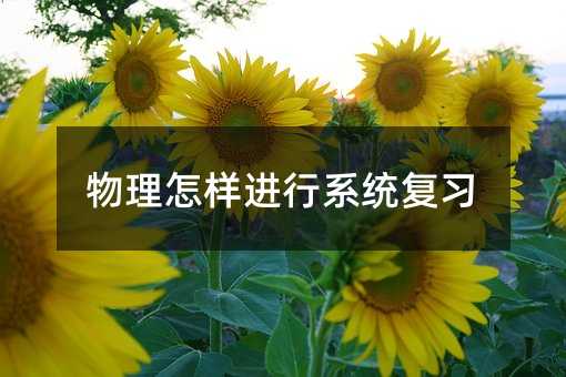 物理怎样进行系统复习