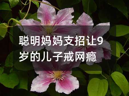 聪明妈妈支招让9岁的儿子戒网瘾
