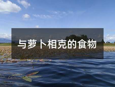 与萝卜相克的食物