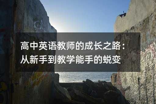 高中英语教师的成长之路:从新手到教学能手的蜕变