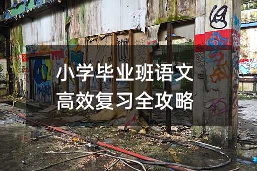 小学毕业班语文高效复习全攻略