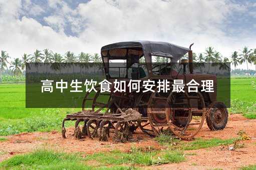 高中生饮食如何安排最合理