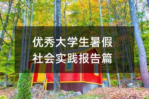 优秀大学生暑假社会实践报告篇