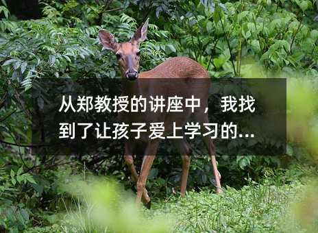 ֣ڵĽУҵúӰѧϰԿ