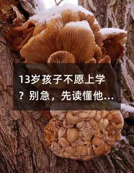 13岁孩子不愿上学?别急,先读懂他心里的“小宇宙”