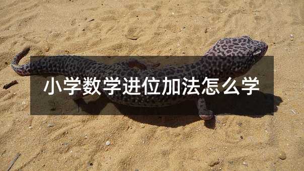 小学数学进位加法怎么学