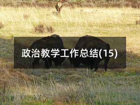 政治教学工作总结(15)