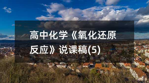 ���л�ѧ��������ԭ��Ӧ��˵�θ�(5)