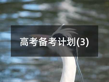 �߿������ƻ�(3)