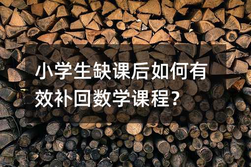 小学生缺课后如何有效补回数学课程?