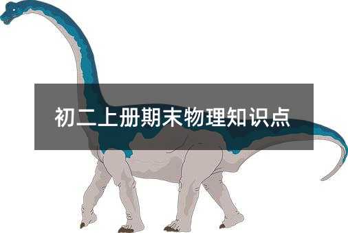 初二上册期末物理知识点