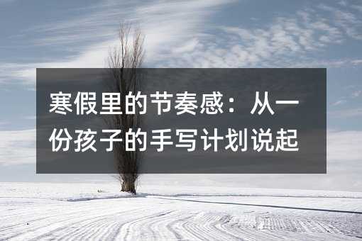 寒假里的节奏感:从一份孩子的手写计划说起
