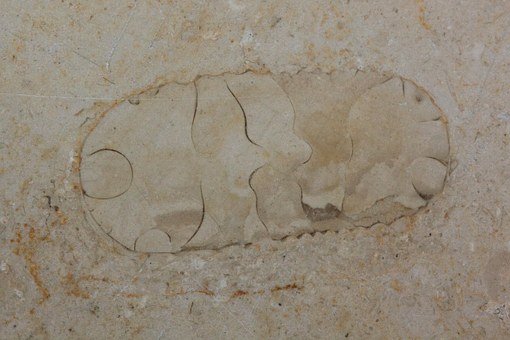 化学学习的秘密武器:课后复习的力量