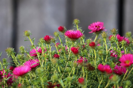 С���������˼ҳ�������������