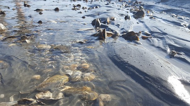 高考文综学习方法